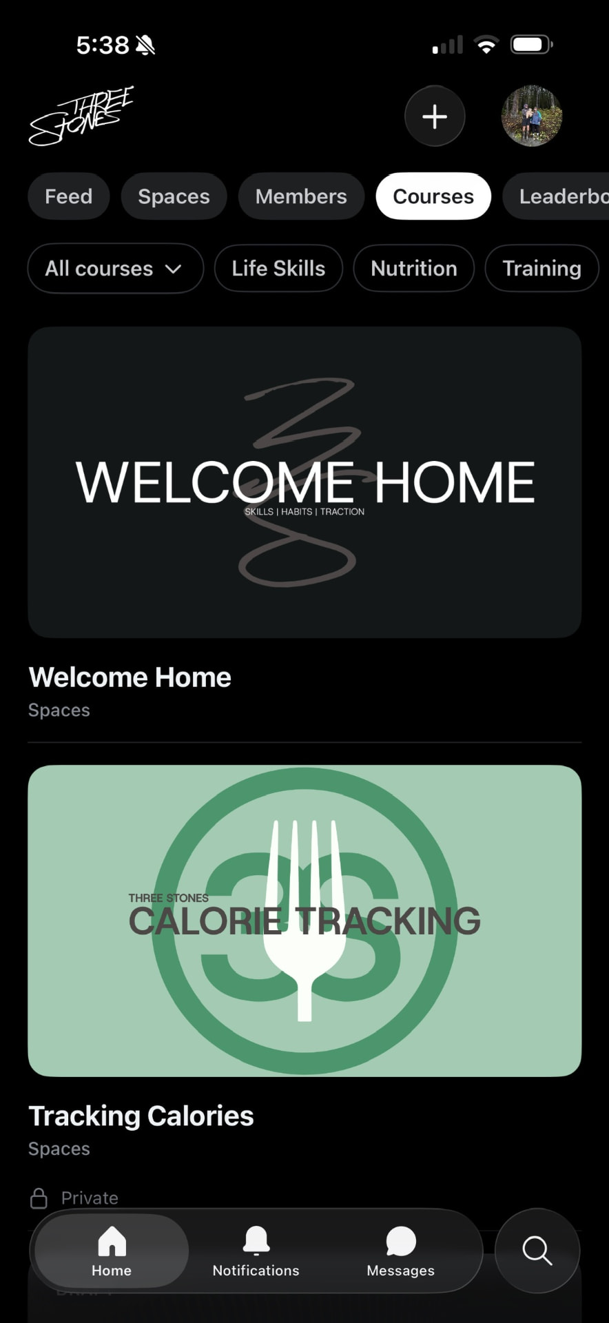 Three Stones mobile community showing courses and member spaces